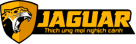 jaguarcolor