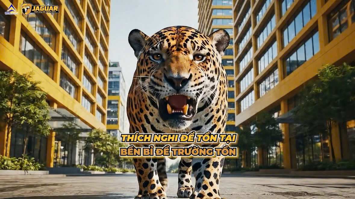 🐆LINH HỒN BIỂU TƯỢNG – TRIẾT LÝ THÍCH NGHI MỌI NGHỊCH CẢNH