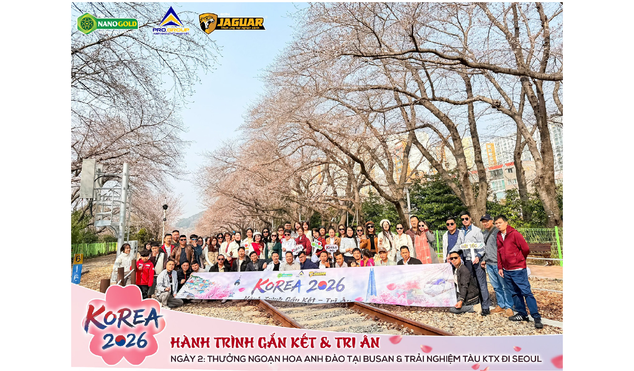 KOREA 2026 | GẮN KẾT & TRI ÂN NGÀY 2: THƯỞNG NGOẠN HOA ANH ĐÀO TẠI BUSAN & TRẢI NGHIỆM TÀU KTX ĐI SEOUL