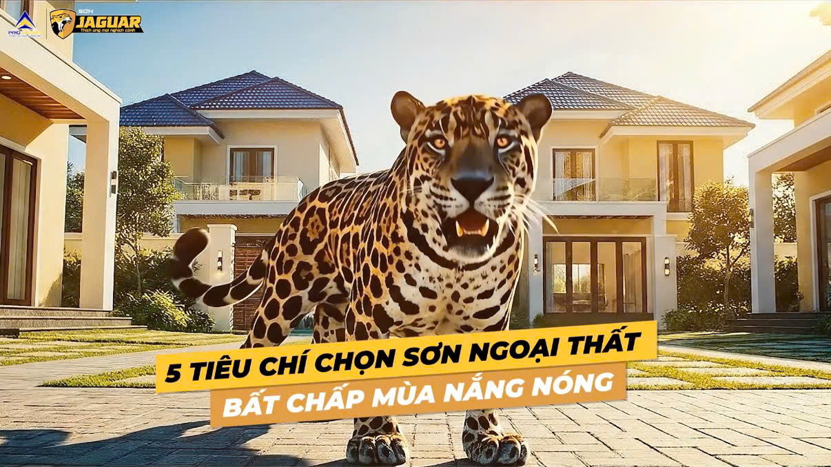 ☀️ CHIẾN BINH JAGUAR BẬT MÍ 5 TIÊU CHÍ CHỌN SƠN NGOẠI THẤT – BẢN LĨNH THÁCH THỨC MỌI MÙA NẮNG NÓNG ☀️
